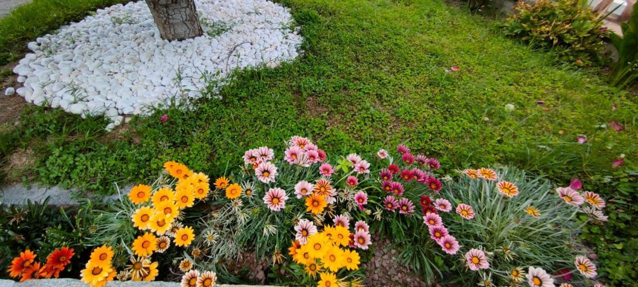 Chez Marie-Claire Daire Montjovet Dış mekan fotoğraf
